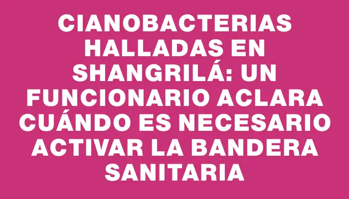 Cianobacterias halladas en Shangrilá: un funcionario aclara cuándo es necesario activar la bandera sanitaria