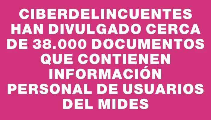 Ciberdelincuentes han divulgado cerca de 38.000 documentos que contienen información personal de usuarios del Mides