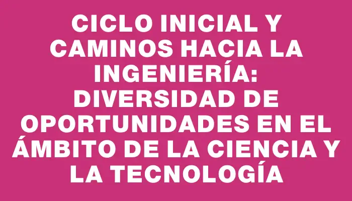 Ciclo Inicial y caminos hacia la ingeniería: diversidad de oportunidades en el ámbito de la ciencia y la tecnología