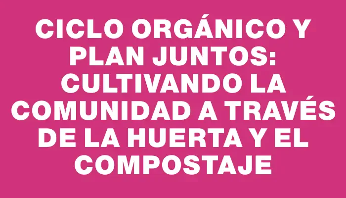 Ciclo Orgánico y Plan Juntos: cultivando la comunidad a través de la huerta y el compostaje