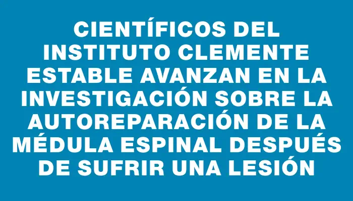 Científicos del Instituto Clemente Estable avanzan en la investigación sobre la autoreparación de la médula espinal después de sufrir una lesión