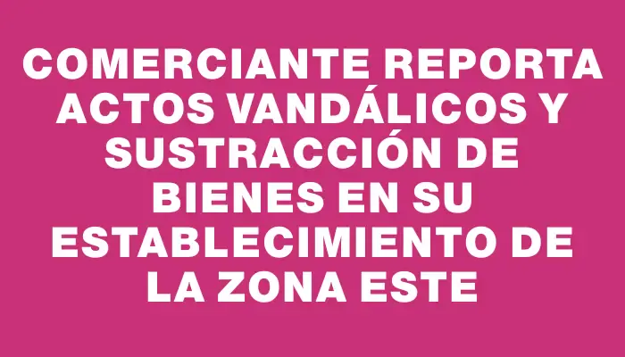 Comerciante reporta actos vandálicos y sustracción de bienes en su establecimiento de la Zona Este