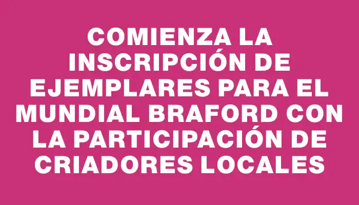 Comienza la inscripción de ejemplares para el Mundial Braford con la participación de criadores locales