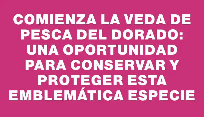 Comienza la veda de pesca del dorado: una oportunidad para conservar y proteger esta emblemática especie