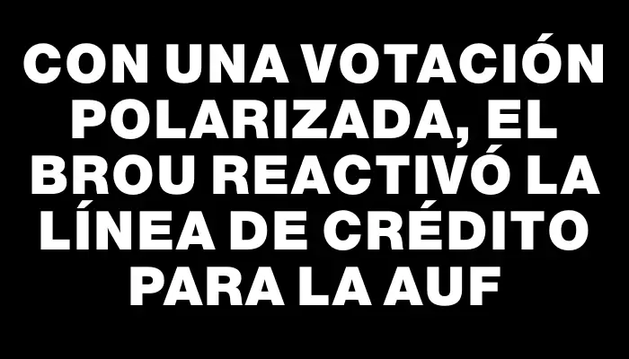 Con una votación polarizada, el Brou reactivó la línea de crédito para la Auf