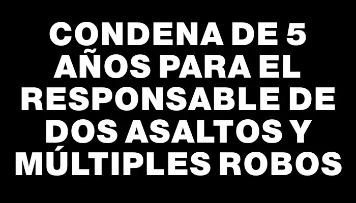 Condena de 5 años para el responsable de dos asaltos y múltiples robos