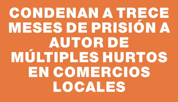 Condenan a trece meses de prisión a autor de múltiples hurtos en comercios locales