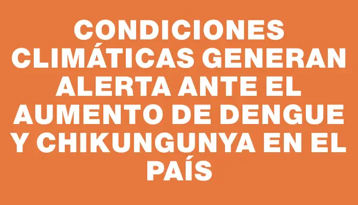 Condiciones climáticas generan alerta ante el aumento de dengue y chikungunya en el país