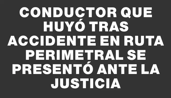 Conductor que huyó tras accidente en ruta Perimetral se presentó ante la justicia