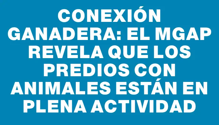 Conexión Ganadera: el Mgap revela que los predios con animales están en plena actividad
