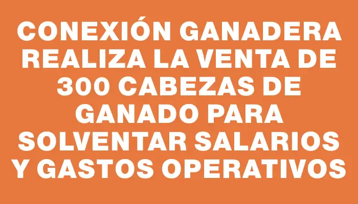 Conexión Ganadera realiza la venta de 300 cabezas de ganado para solventar salarios y gastos operativos