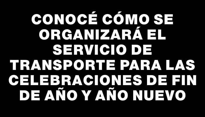 Conocé cómo se organizará el servicio de transporte para las celebraciones de Fin de Año y Año Nuevo