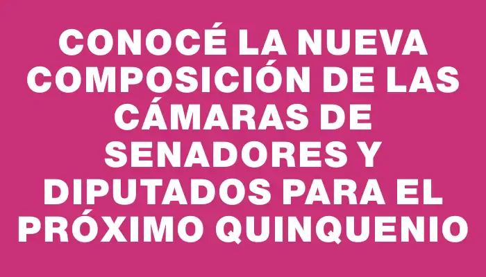 Conocé la nueva composición de las cámaras de Senadores y Diputados para el próximo quinquenio