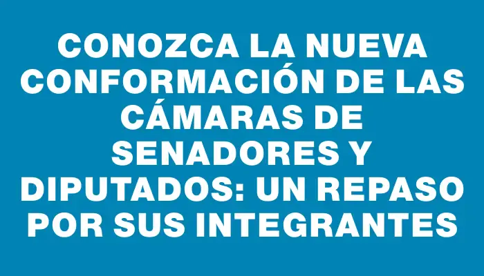 Conozca la nueva conformación de las cámaras de Senadores y Diputados: un repaso por sus integrantes