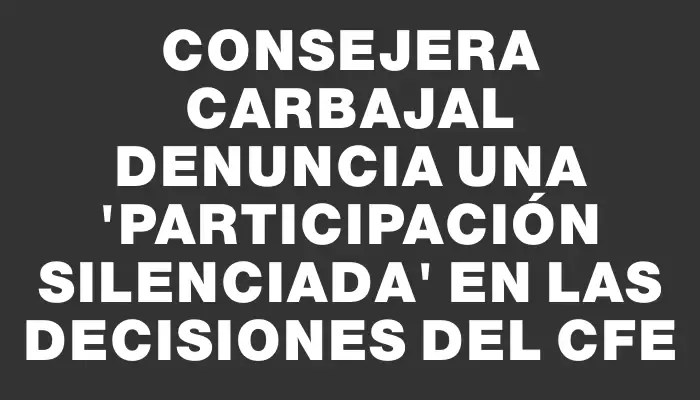 Consejera Carbajal denuncia una "participación silenciada" en las decisiones del Cfe