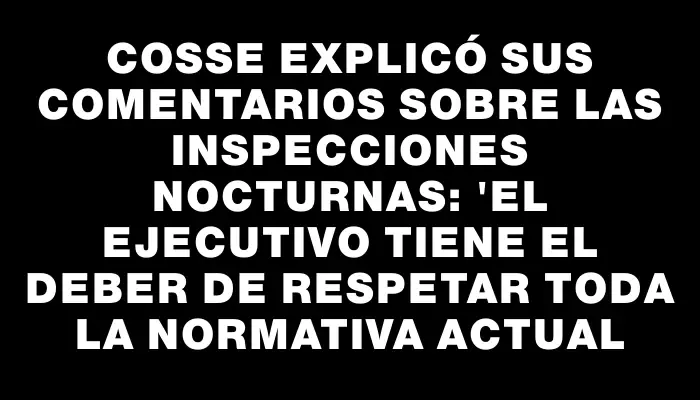 Cosse explicó sus comentarios sobre las inspecciones nocturnas: "El Ejecutivo tiene el deber de respetar toda la normativa actual