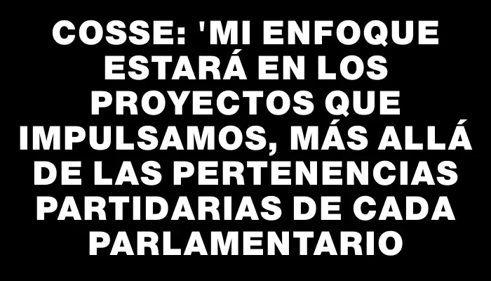 Cosse: "Mi enfoque estará en los proyectos que impulsamos, más allá de las pertenencias partidarias de cada parlamentario