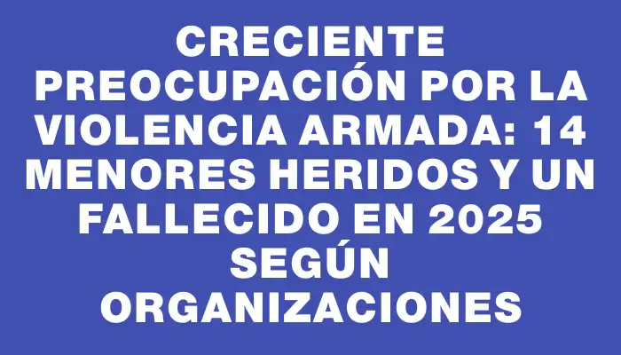 Creciente preocupación por la violencia armada: 14 menores heridos y un fallecido en 2025 según organizaciones