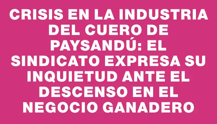 Crisis en la industria del cuero de Paysandú: el sindicato expresa su inquietud ante el descenso en el negocio ganadero