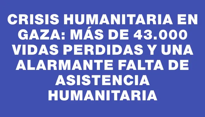 Crisis humanitaria en Gaza: Más de 43.000 vidas perdidas y una alarmante falta de asistencia humanitaria