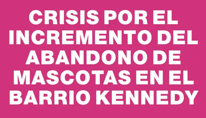 Crisis por el incremento del abandono de mascotas en el Barrio Kennedy