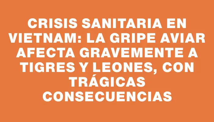 Crisis sanitaria en Vietnam: La gripe aviar afecta gravemente a tigres y leones, con trágicas consecuencias