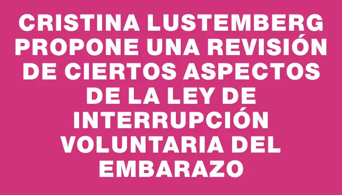 Cristina Lustemberg propone una revisión de ciertos aspectos de la ley de Interrupción Voluntaria del Embarazo