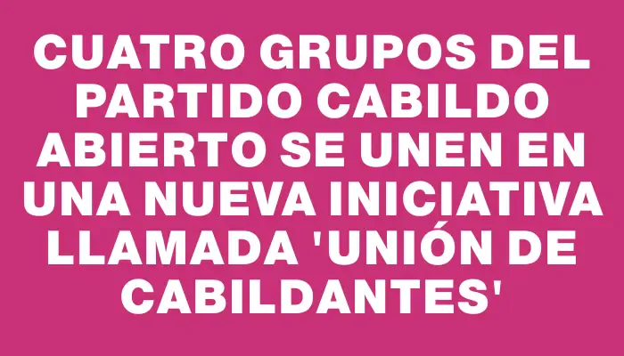 Cuatro grupos del partido Cabildo Abierto se unen en una nueva iniciativa llamada “Unión de Cabildantes”