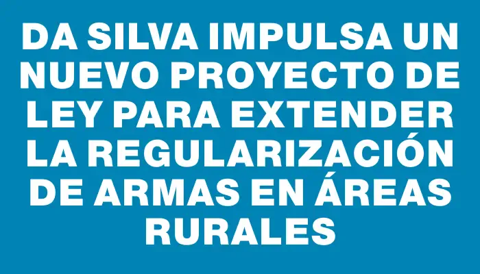 Da Silva impulsa un nuevo proyecto de ley para extender la regularización de armas en áreas rurales