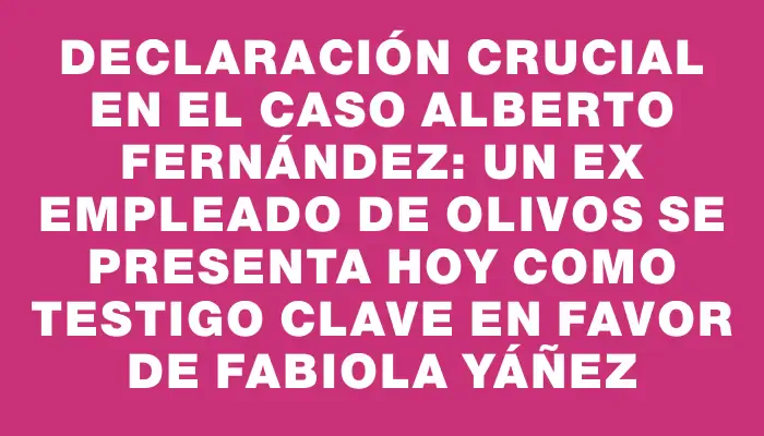 Declaración crucial en el caso Alberto Fernández: un ex empleado de Olivos se presenta hoy como testigo clave en favor de Fabiola Yáñez