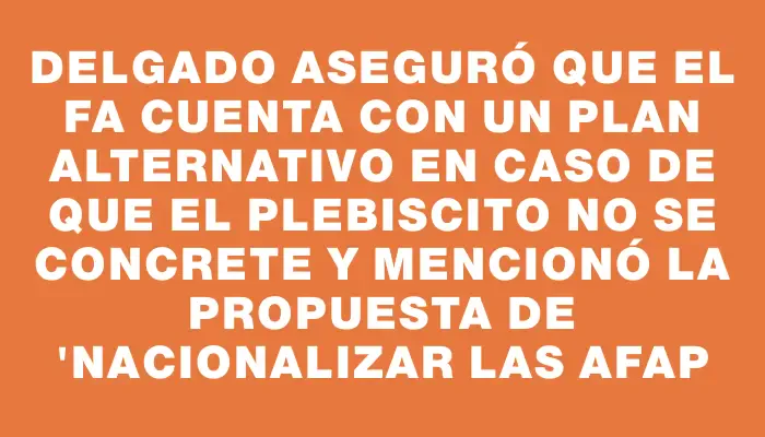 Delgado aseguró que el Fa cuenta con un plan alternativo en caso de que el plebiscito no se concrete y mencionó la propuesta de "nacionalizar las Afap