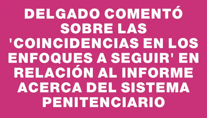 Delgado comentó sobre las "coincidencias en los enfoques a seguir" en relación al informe acerca del sistema penitenciario