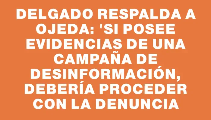 Delgado respalda a Ojeda: "Si posee evidencias de una campaña de desinformación, debería proceder con la denuncia