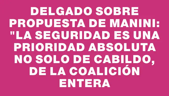 Delgado sobre propuesta de Manini: "La seguridad es una prioridad absoluta no solo de Cabildo, de la coalición entera