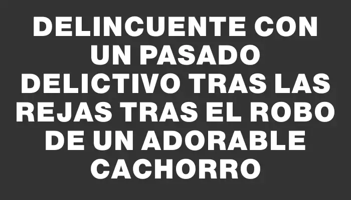 Delincuente con un pasado delictivo tras las rejas tras el robo de un adorable cachorro