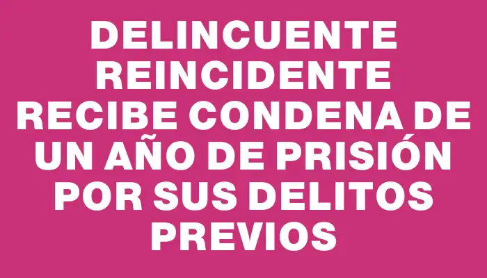 Delincuente reincidente recibe condena de un año de prisión por sus delitos previos