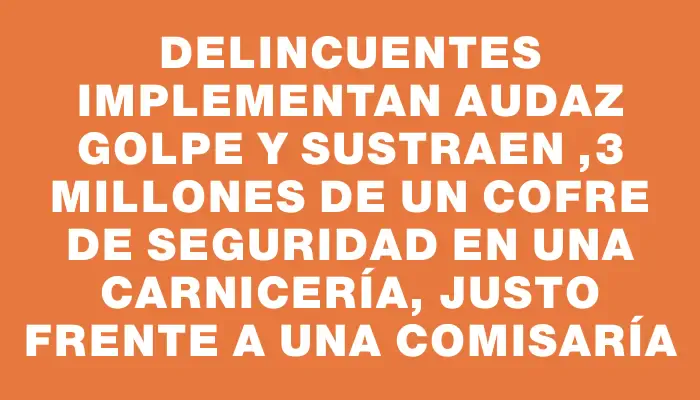 Delincuentes implementan audaz golpe y sustraen $1,3 millones de un cofre de seguridad en una carnicería, justo frente a una comisaría