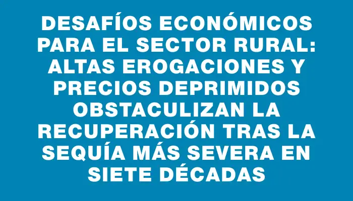 Desafíos económicos para el sector rural: altas erogaciones y precios deprimidos obstaculizan la recuperación tras la sequía más severa en siete décadas