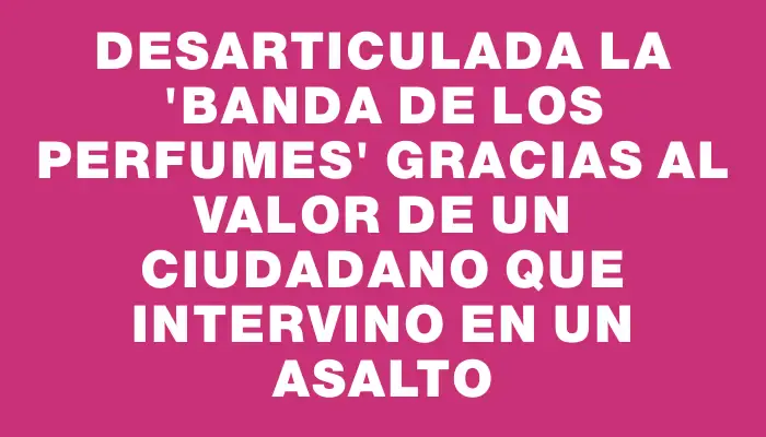 Desarticulada la "banda de los perfumes" gracias al valor de un ciudadano que intervino en un asalto