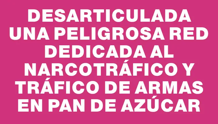 Desarticulada una peligrosa red dedicada al narcotráfico y tráfico de armas en Pan de Azúcar