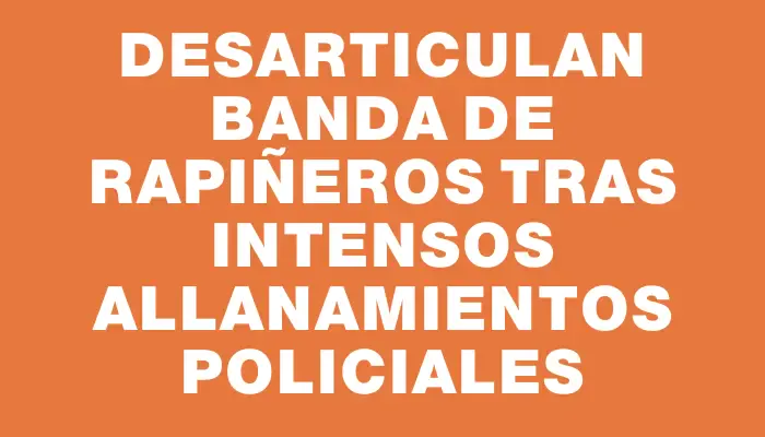 Desarticulan banda de rapiñeros tras intensos allanamientos policiales