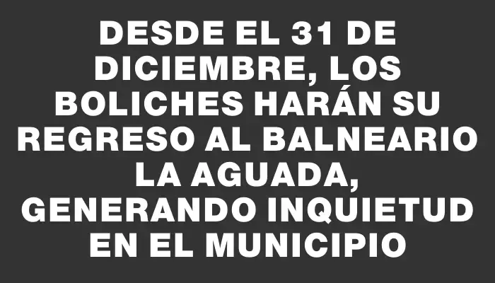 Desde el 31 de diciembre, los boliches harán su regreso al balneario La Aguada, generando inquietud en el Municipio