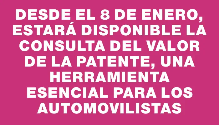 Desde el 8 de enero, estará disponible la consulta del valor de la patente, una herramienta esencial para los automovilistas