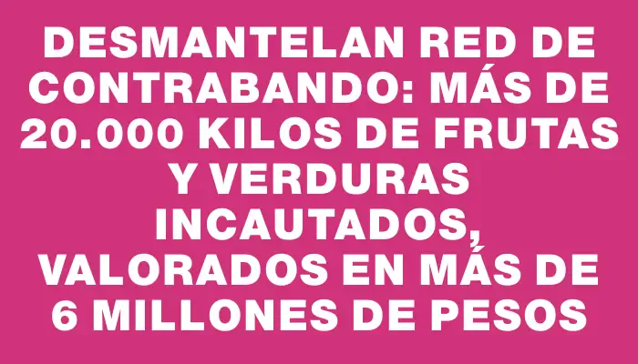 Desmantelan red de contrabando: más de 20.000 kilos de frutas y verduras incautados, valorados en más de 6 millones de pesos