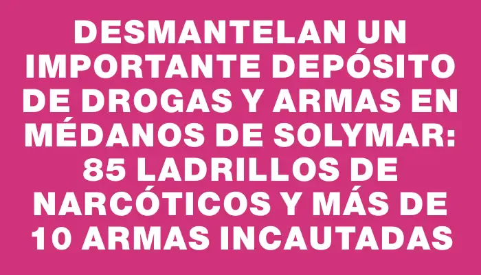 Desmantelan un importante depósito de drogas y armas en Médanos de Solymar: 85 ladrillos de narcóticos y más de 10 armas incautadas