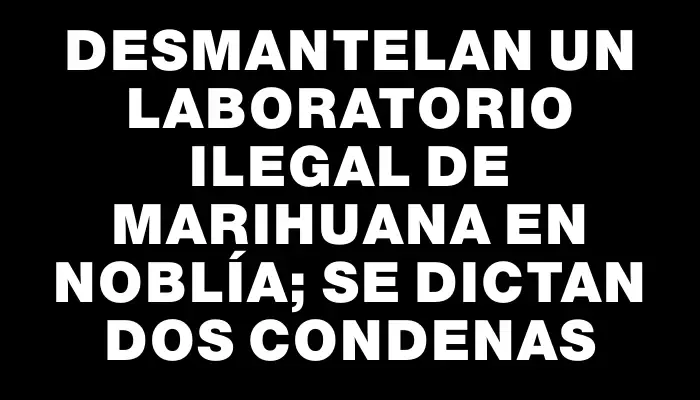 Desmantelan un laboratorio ilegal de marihuana en Noblía; se dictan dos condenas