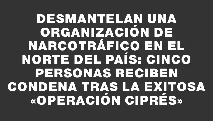 Desmantelan una organización de narcotráfico en el norte del país: cinco personas reciben condena tras la exitosa «Operación Ciprés»