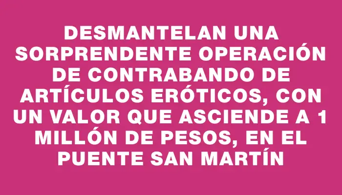 Desmantelan una sorprendente operación de contrabando de artículos eróticos, con un valor que asciende a 1 millón de pesos, en el puente San Martín