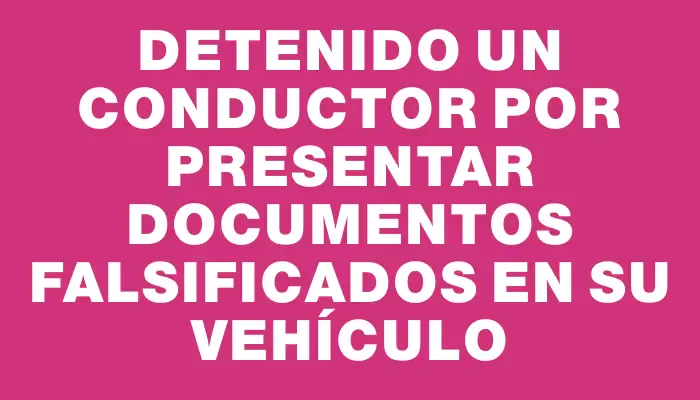 Detenido un conductor por presentar documentos falsificados en su vehículo