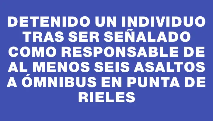 Detenido un individuo tras ser señalado como responsable de al menos seis asaltos a ómnibus en Punta de Rieles